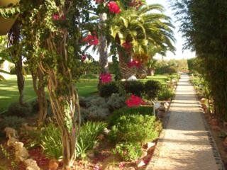 Da Lota – Beachfront Hotel 3*